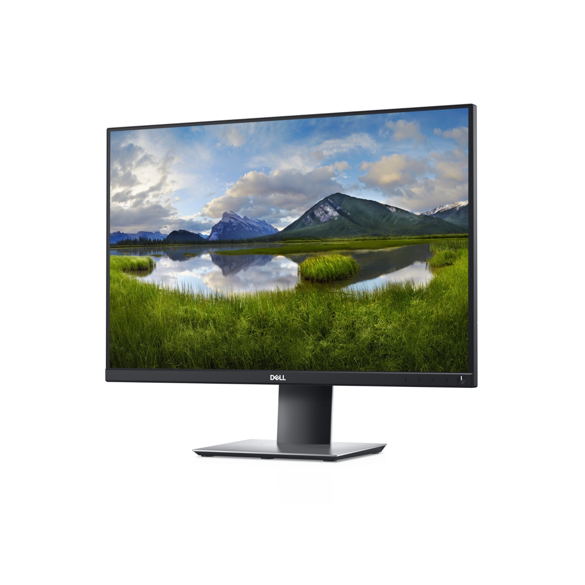 Dell P2421 | 24" | WUXGA | IPS (5 ms Reaktionszeit, 60 Hz) - computify