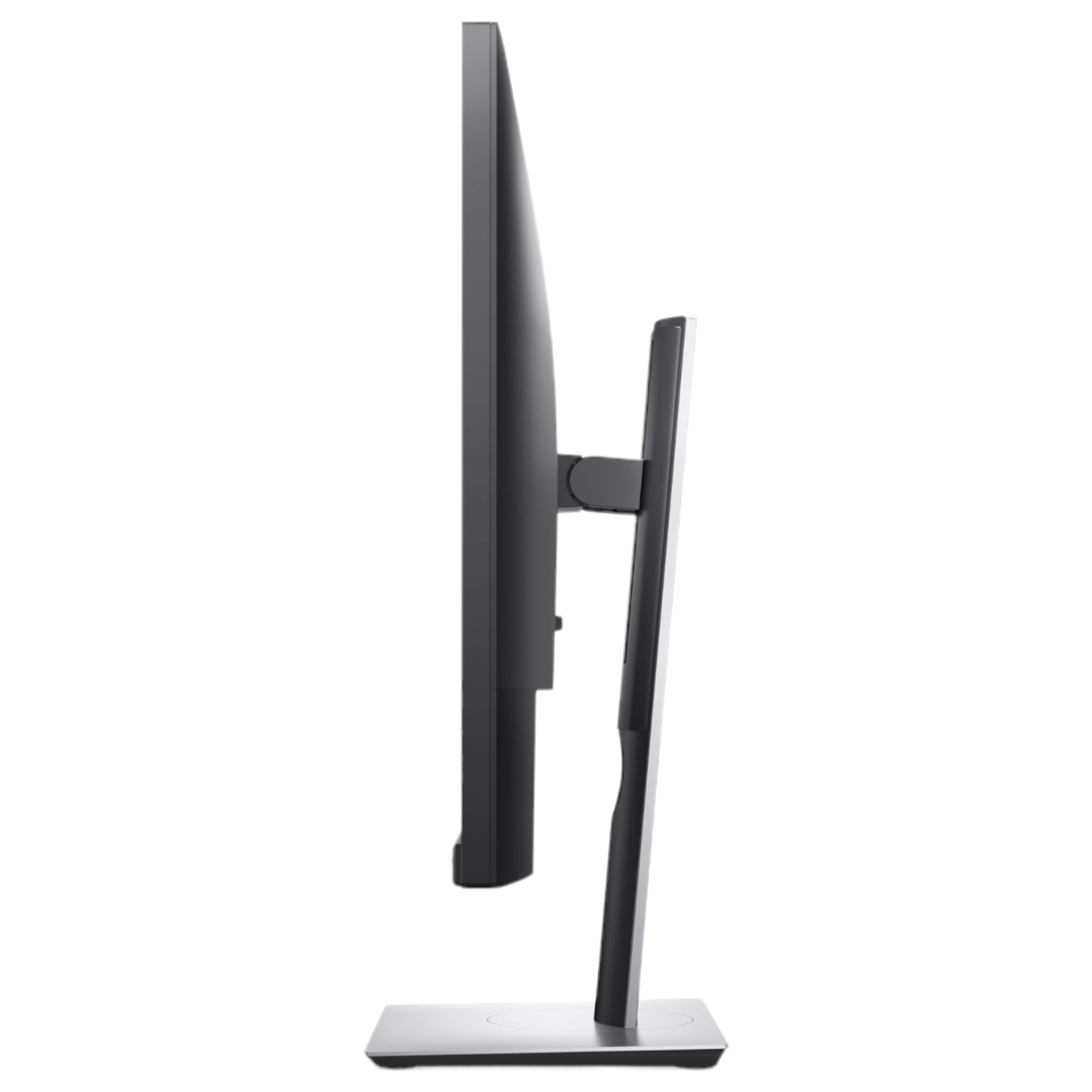 Dell P2421 | 24" | WUXGA | IPS (5 ms Reaktionszeit, 60 Hz) - computify